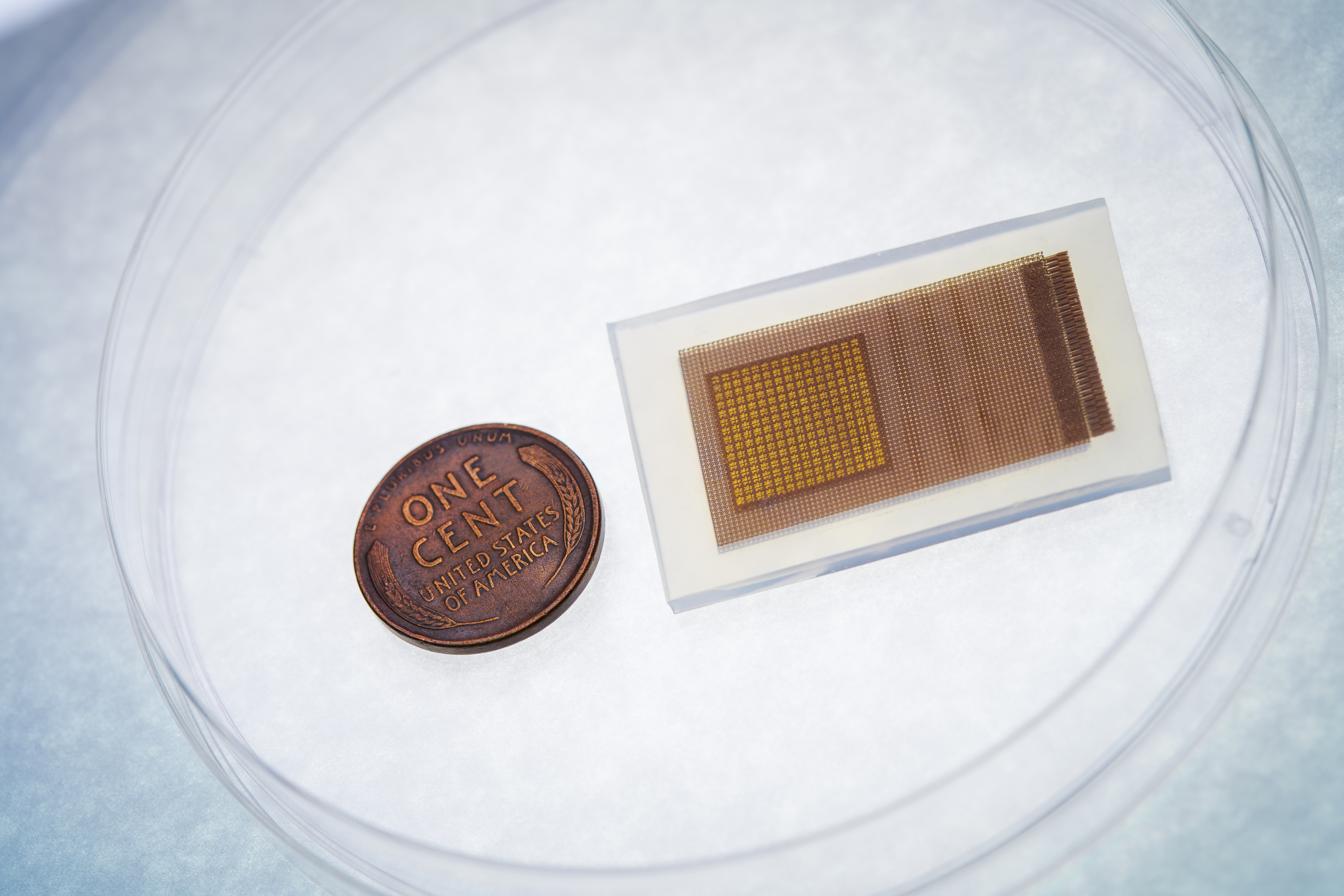 Wearable Ultrasound Device